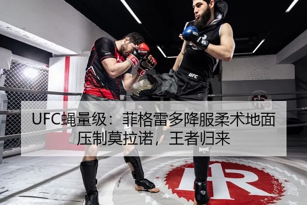 UFC蝇量级：菲格雷多降服柔术地面压制莫拉诺，王者归来
